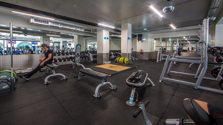 exercicios de musculaçao