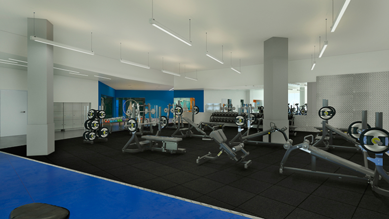 aula de rpm